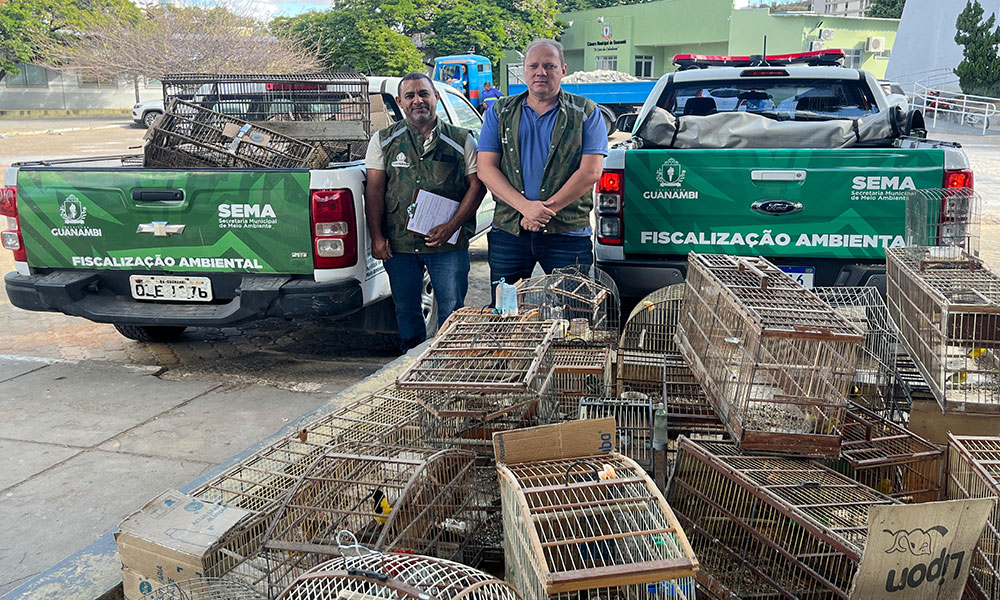 Pássaros silvestres são resgatados de cativeiro ilegal na zona rural de Guanambi