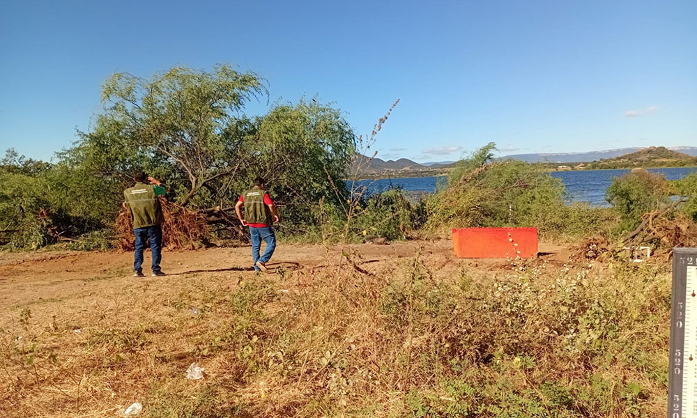 Secretaria de Meio Ambiente apura desmatamento em área de preservação em Guanambi