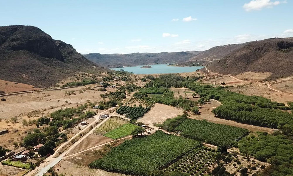 Guanambi: Produção agrícola do Perímetro Irrigado de Ceraíma atingiu 6,6 mil toneladas em 2024