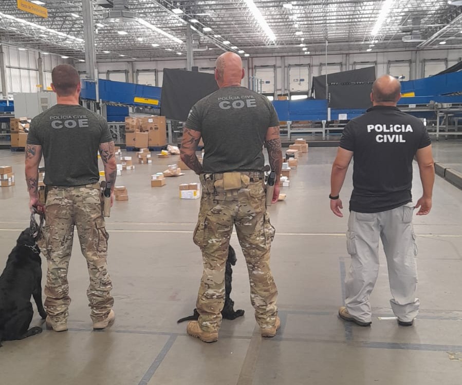 Polícia apreende na Bahia cogumelos alucinógenos em operação nos Correios