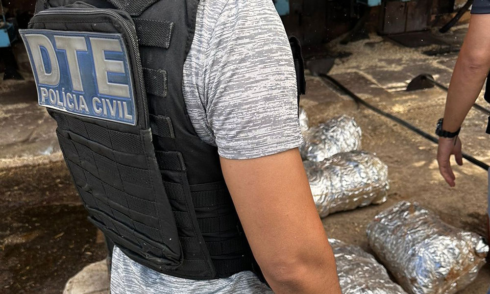 Polícia Civil incinera meia tonelada de drogas no interior da Bahia