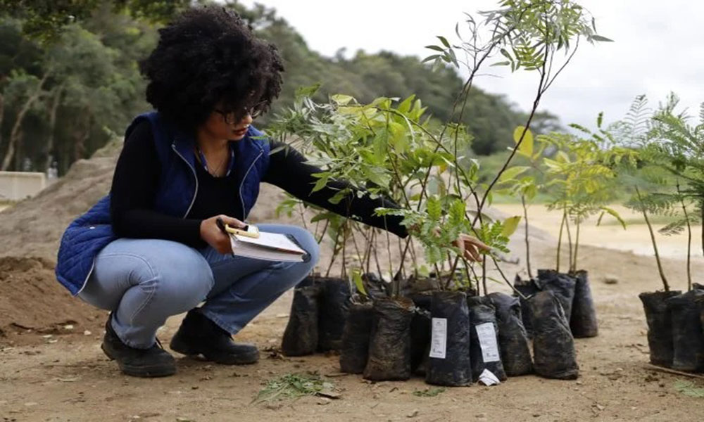 Projeto socioambiental da Embasa apoiou recuperação dezenas de áreas degradadas e de nascentes em 2024