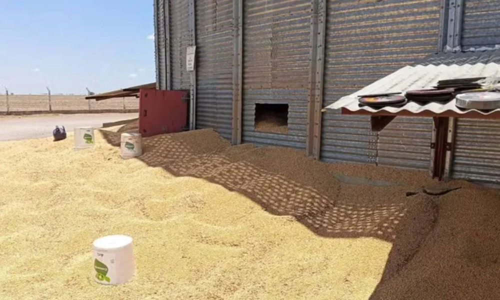 MPT abre inquérito para apurar morte de trabalhador em silo em Barreiras