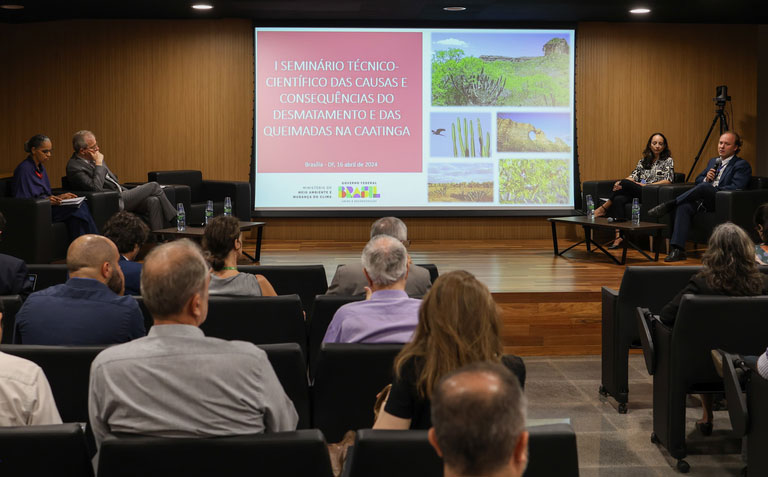 Seminário debate plano de combate ao desmatamento e queimadas na Caatinga