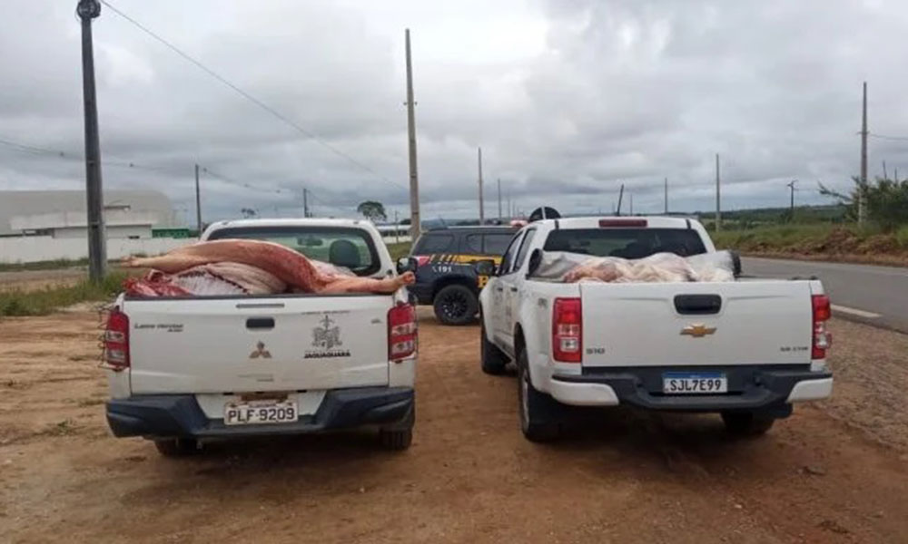Trabalho conjunto resulta na apreensão de 1,3 tonelada de carne de abate clandestino no sudoeste da Bahia