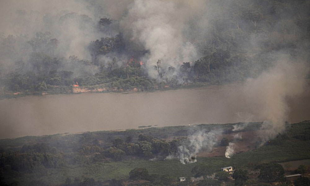 Seca se agrava no Pantanal, e o Rio Paraguai chega a ficar mais de 3 metros abaixo do esperado 