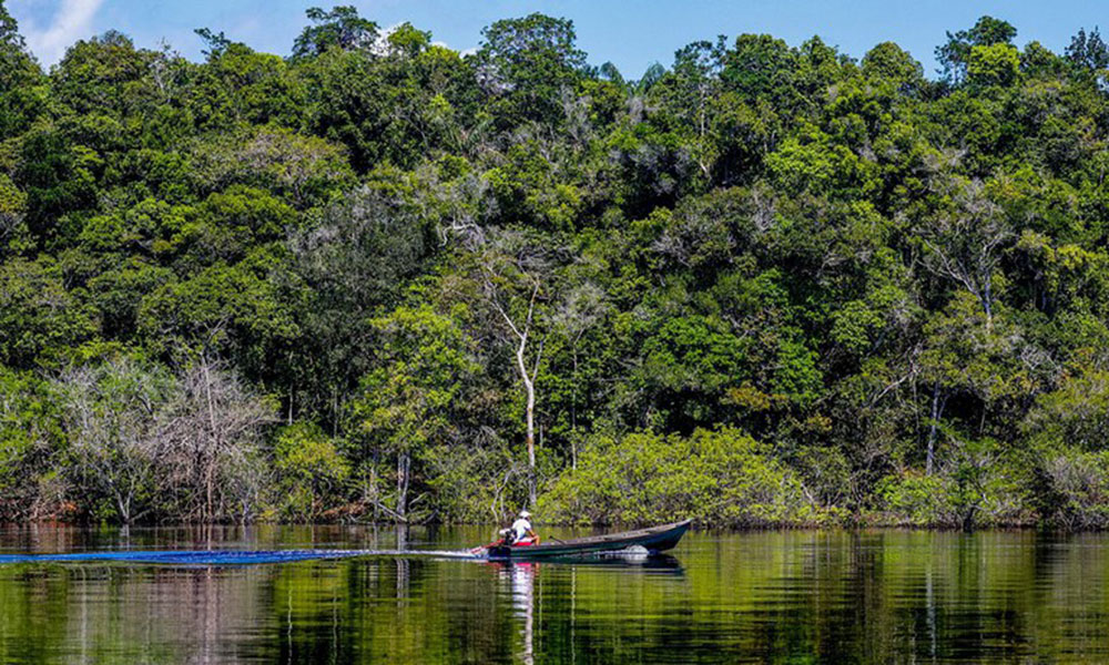 Desmatamento na Amazônia em agosto de 2024 foi o menor em seis anos