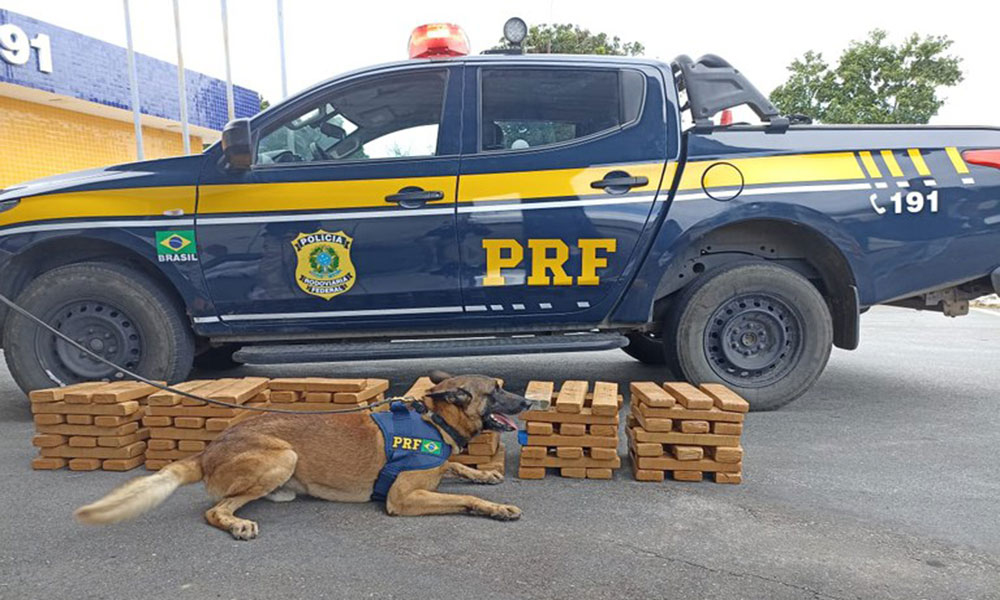 PRF apreende 100 kg de maconha na BR-116, em Vitória da Conquista