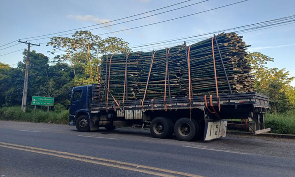 PRF flagra transporte irregular de bambu e alerta para riscos de cargas mal amarradas na Bahia