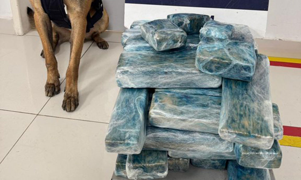 PRF apreende 26 kg de maconha e prende mulher por tráfico de drogas em Vitória da Conquista