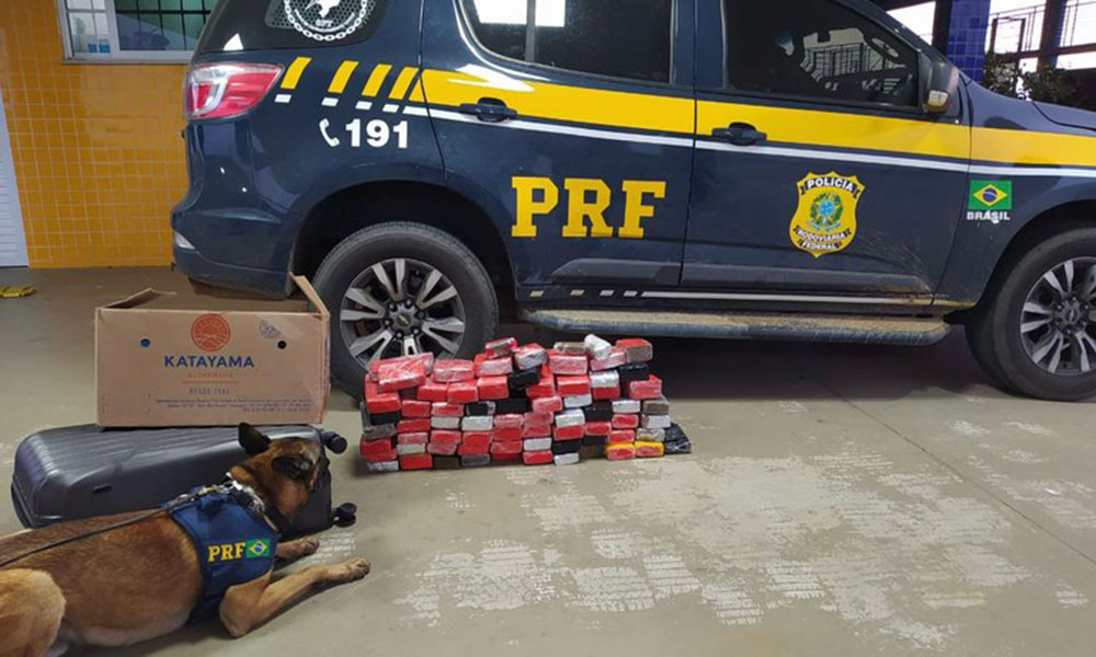 Passageiro de ônibus é preso com drogas em Encruzilhada