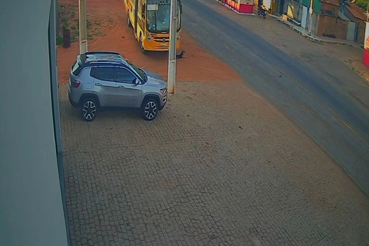 Caso de cachorro atropelado por suposto ônibus da Prefeitura de Paramirim segue sem esclarecimentos após mais de um mês