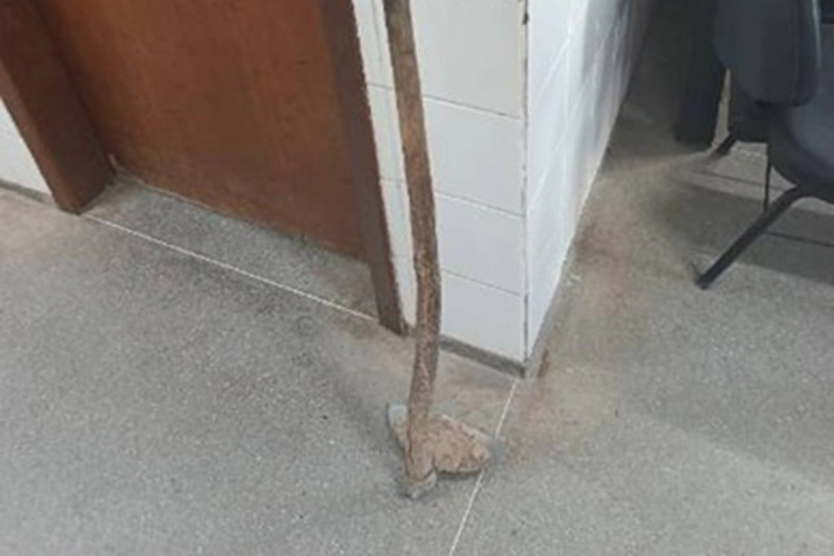 Homem é conduzido à delegacia após ameaçar moradores com enxada na zona rural de Palmas de Monte Alto