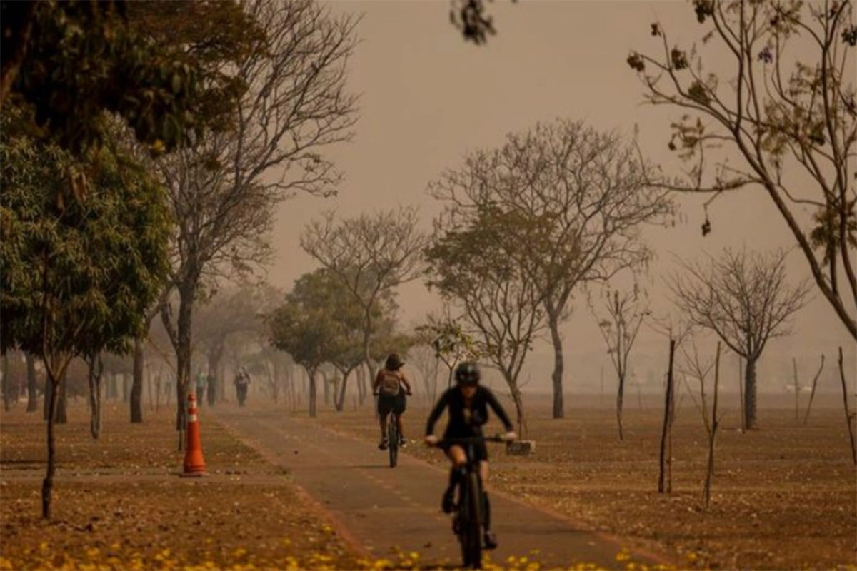 Bahia registra 122 focos de calor e aparece entre os estados com mais ocorrências no país
