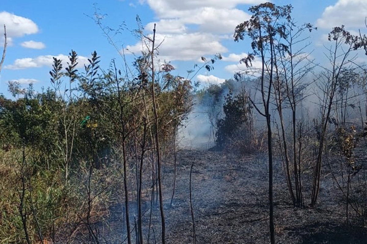 Incêndio em área da Serra do Periperi é controlado após ação de brigadistas em Vitória da Conquista