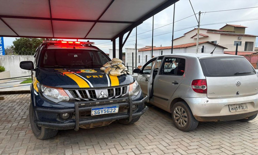 PRF apreende drogas ocultas em veículo na BR-349, em Correntina