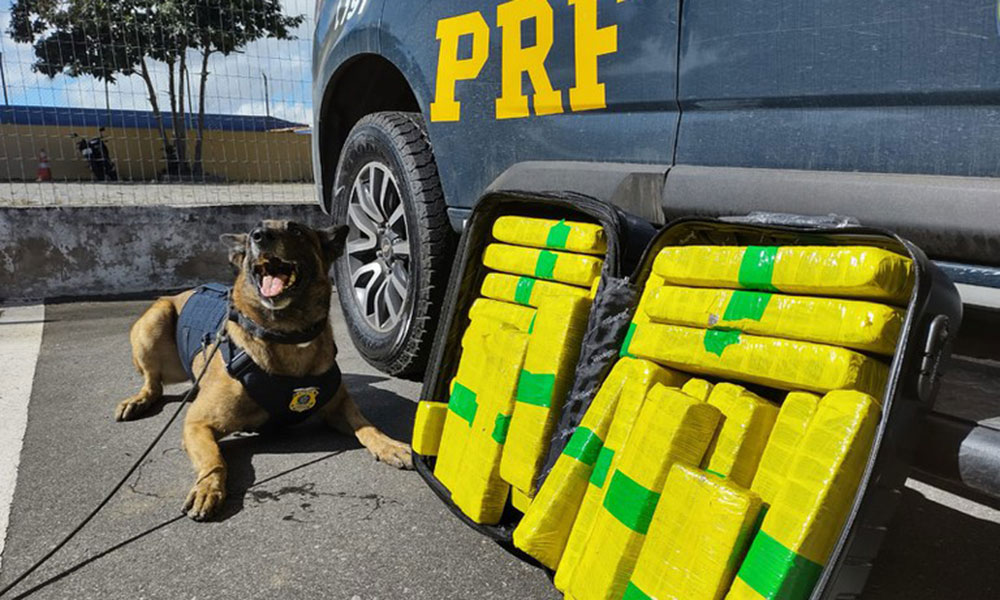 Homem é preso ao ser flagrado com mais de 22 Kg de maconha em Vitória da Conquista