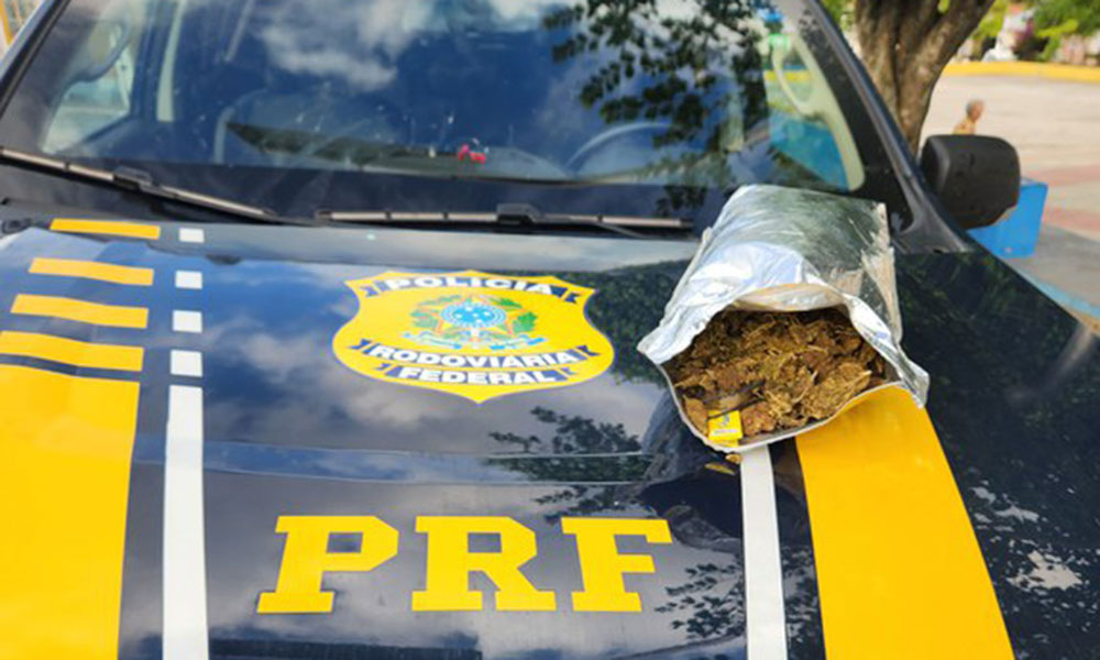 PRF apreende 1 kg de maconha durante fiscalização na BR-407, em Jaguarari