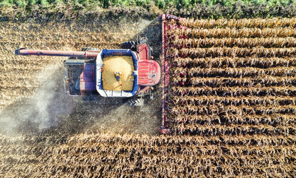 Agronegócio representou 23,5% do PIB da Bahia até o terceiro trimestre de 2024