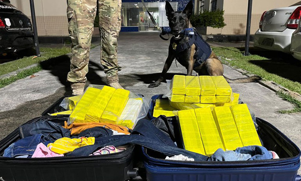 Mulher é presa transportando mais de 50 kg de maconha em Feira de Santana