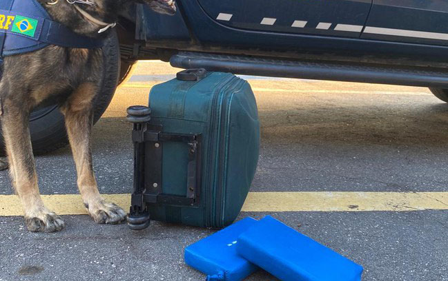 PRF apreende cocaína transportada em mala na BR-116, em Vitória da Conquista