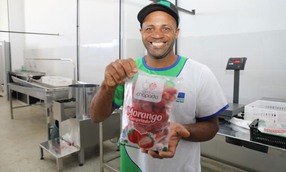 Nova unidade de beneficiamento impulsiona produção de frutas vermelhas em Mucugê