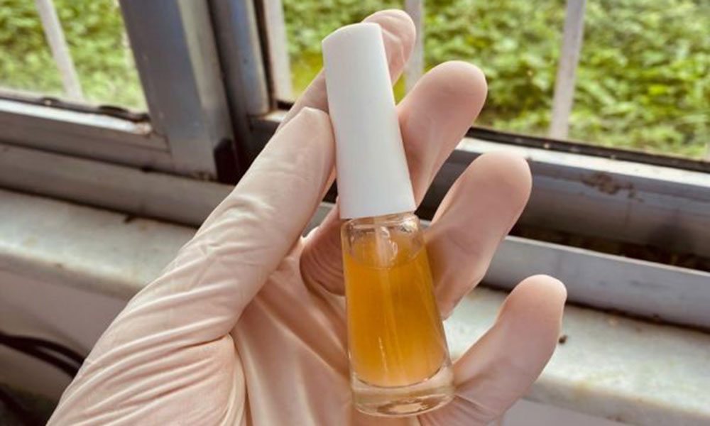 Estudantes de Barra do Rocha usam ingredientes naturais para desenvolver esmalte para unhas