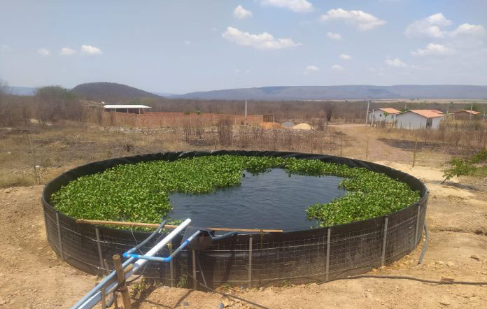 Sistema de recirculação aumenta produção de peixe em comunidade de Muquém de São Francisco