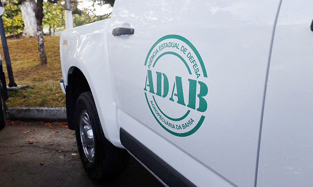 Estado reabre inscrições para concurso da Adab com 200 vagas