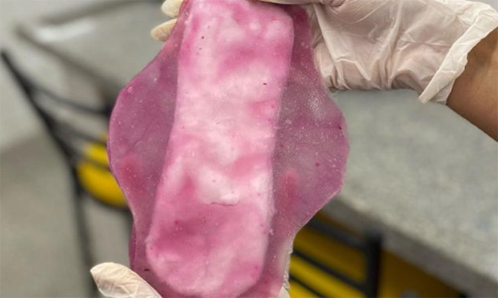 Estudantes de Araci desenvolvem absorventes que aliviam dores menstruais