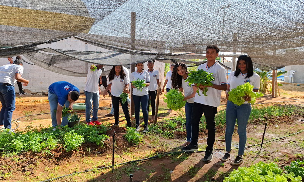Estudantes Estaduais de Bom Jesus da Lapa constroem horta ecológica em atividade do programa Educa Mais Bahia