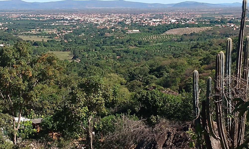 Governo Federal reconhece situação de emergência por estiagem em Livramento de Nossa Senhora