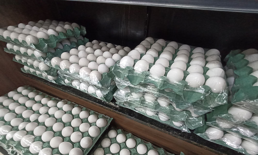 Prévia da inflação desacelera para 0,64% em março, impulsionada por alimentos e transportes