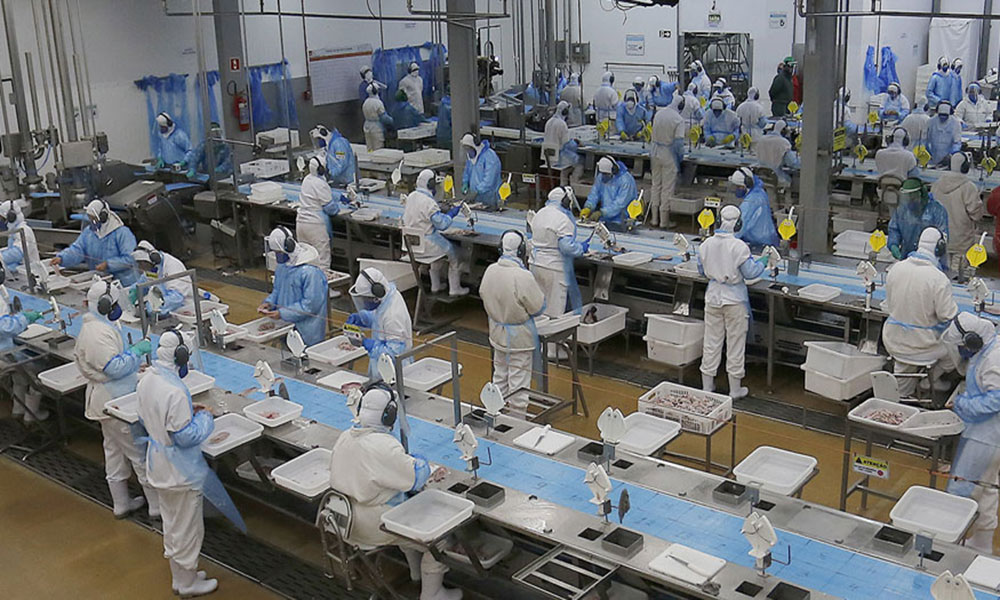 Desemprego cai para 6,1% e atinge menor taxa da história, diz IBGE