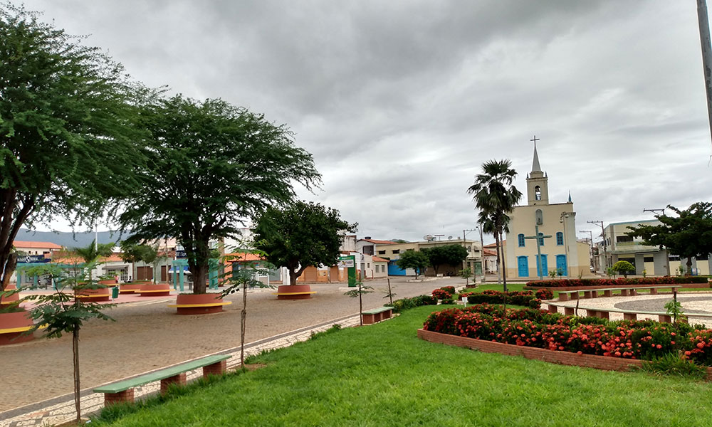Conferência Intermunicipal de Meio Ambiente aconteceu nesta sexta-feira (29) em Dom Basílio