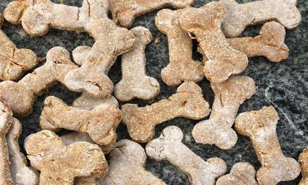 Petisco de farinha de casca de ovo para cães é produzido por estudantes de Ipiaú