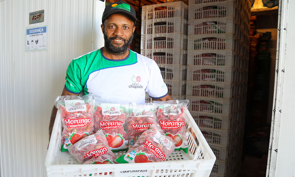 Unidade de beneficiamento fortalece produção de frutas vermelhas em Mucugê