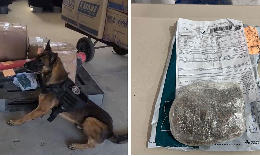 Droga enviada por encomenda é interceptada pela PM em Vitória da Conquista