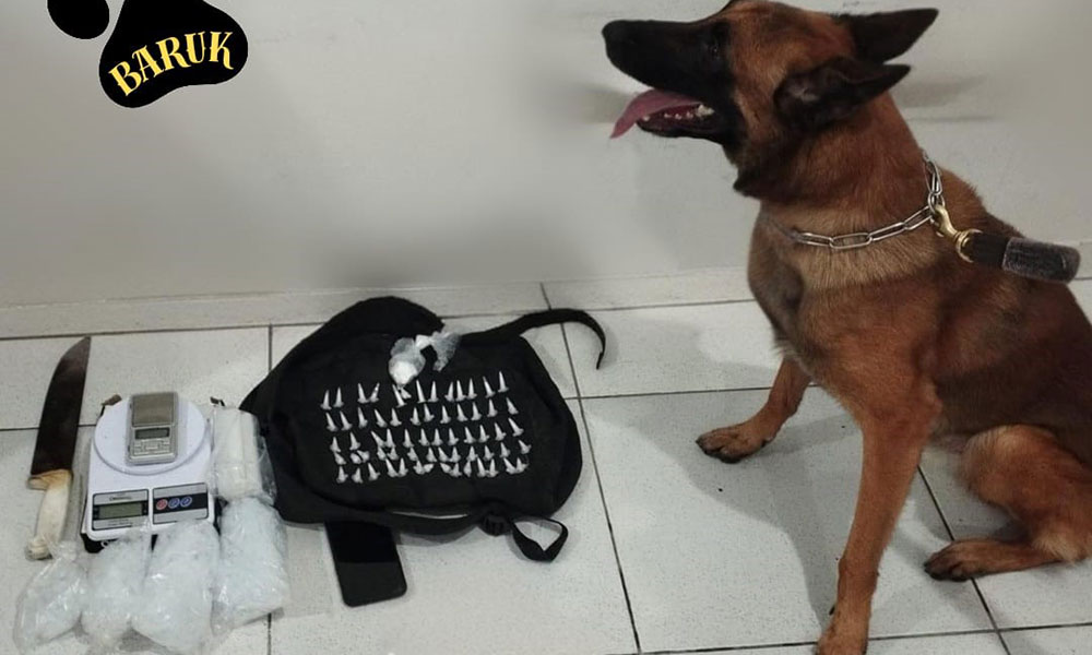 Com apoio de cão farejador, PM detém adolescente com drogas em Porto Seguro
