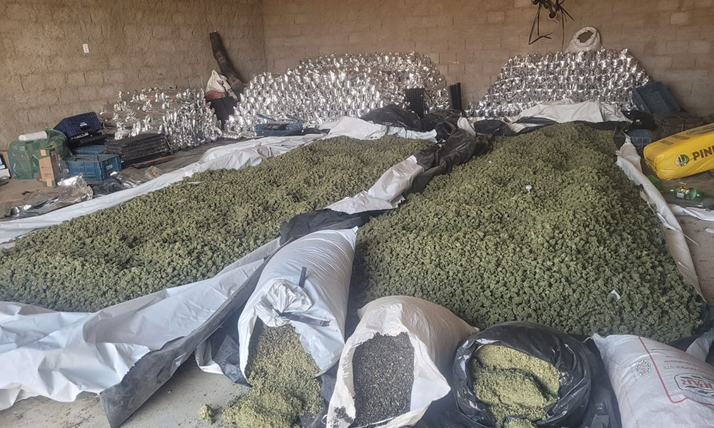 PM e PF apreendem toneladas de maconha em Sebastião Laranjeiras