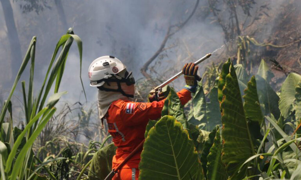 Bombeiros debelaram 422 incêndios florestais nos últimos dois meses na Bahia