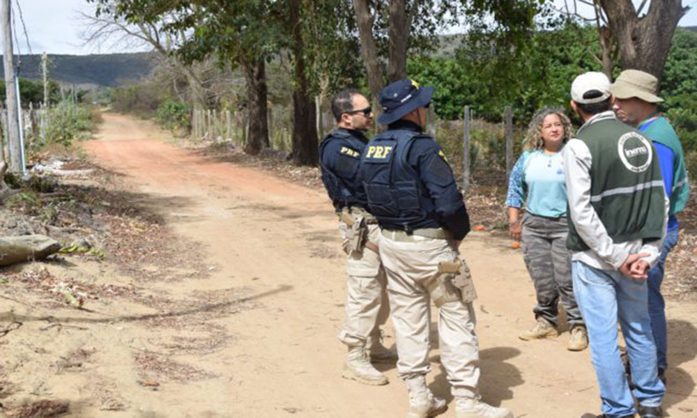 Operação resgata aves silvestres e reforça o combate ao comércio ilegal em Caetité