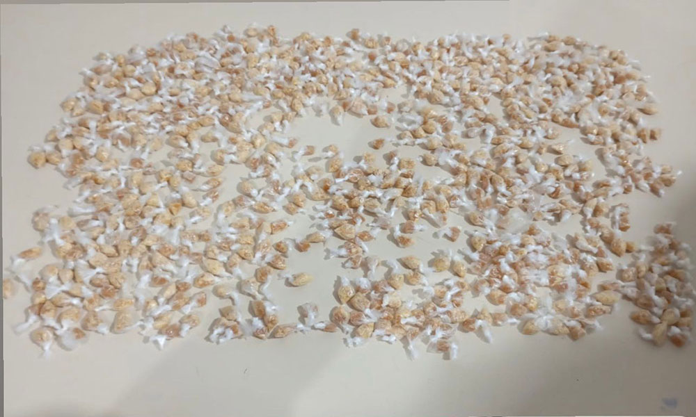PM apreende mais de 700 pedras de crack em Vitória da Conquista