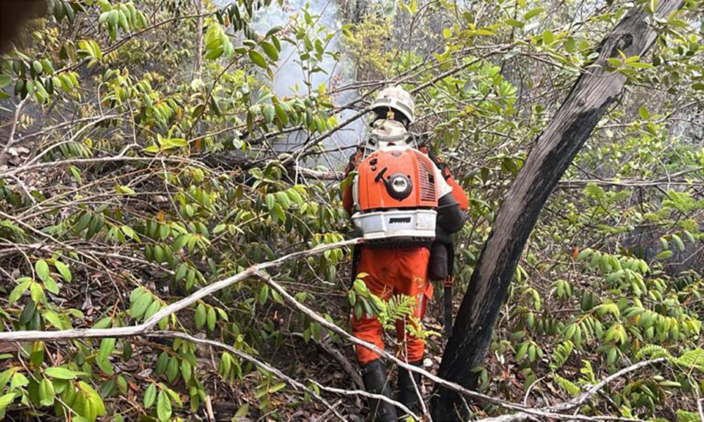 Bombeiros combatem incêndio florestal na Chapada Diamantina