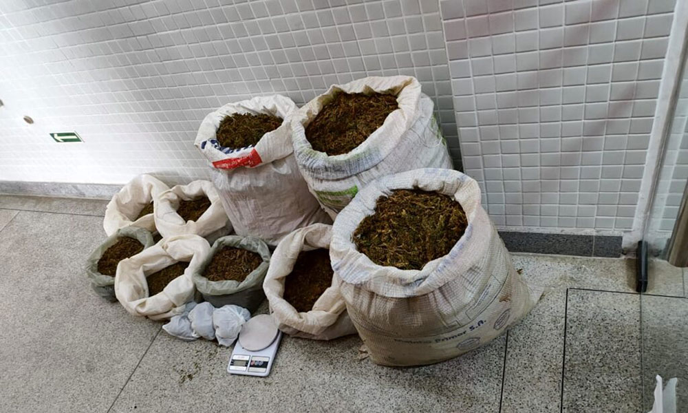 Operação combate tráfico de drogas em Campo Formoso e Antônio Gonçalves