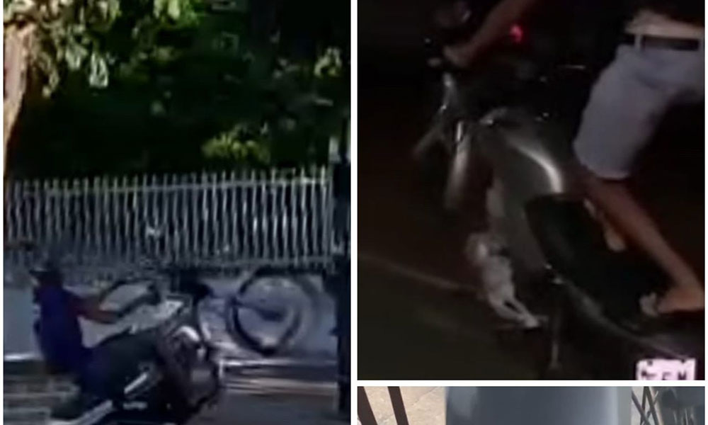 Durante Operação Grau Zero, Polícia Militar apreende motocicletas utilizadas para direção perigosa em Caculé