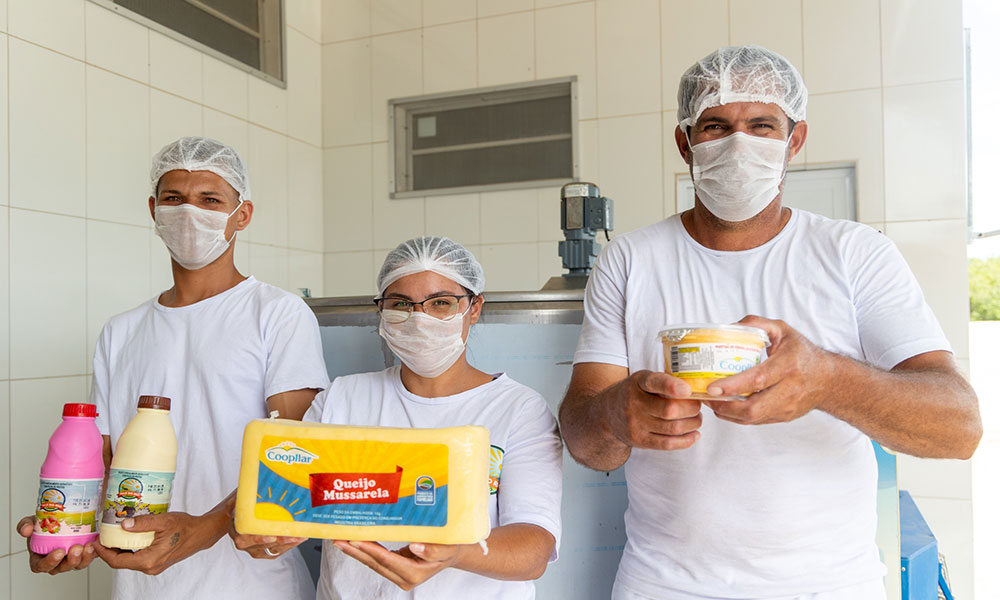 Leite da agricultura familiar é transformado em novos produtos no laticínio de Caturama