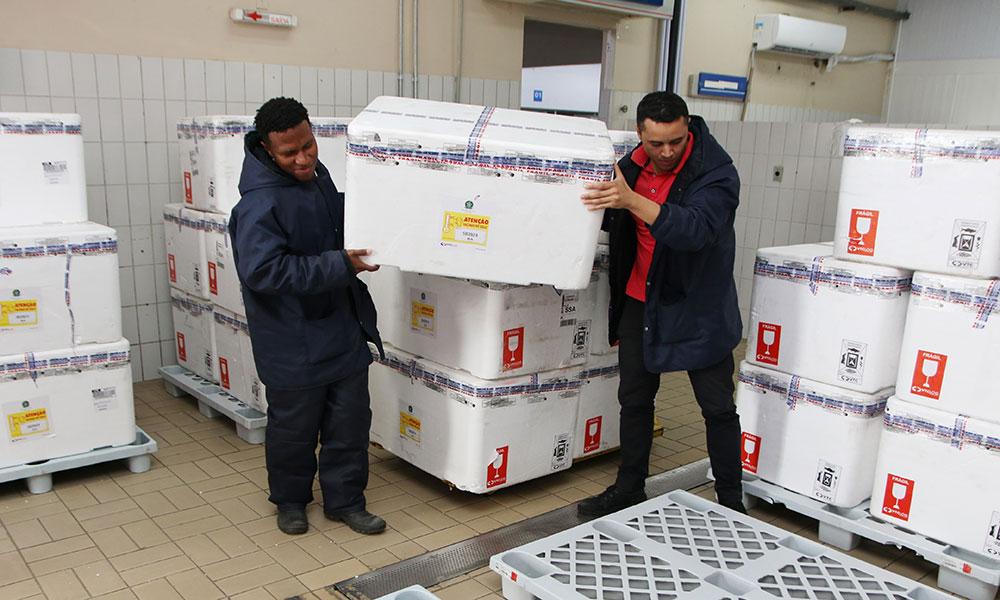 Bahia recebe 428 mil doses da vacina contra a gripe e inicia distribuição na próxima segunda-feira