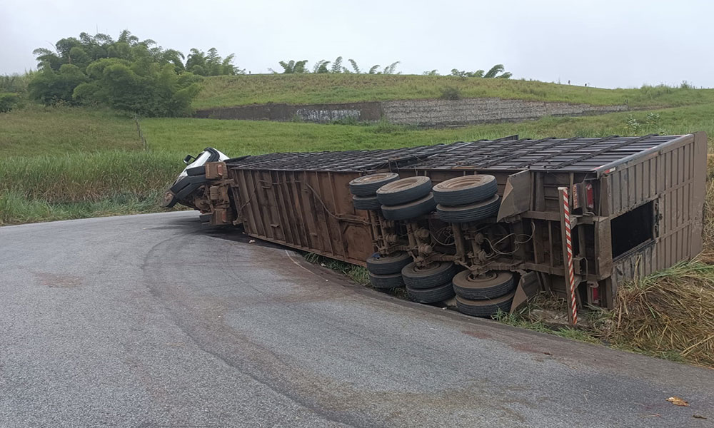 Carreta com carga de bovinos tomba e interdita tráfego na BA-263 entre Vitória da Conquista e Itambé