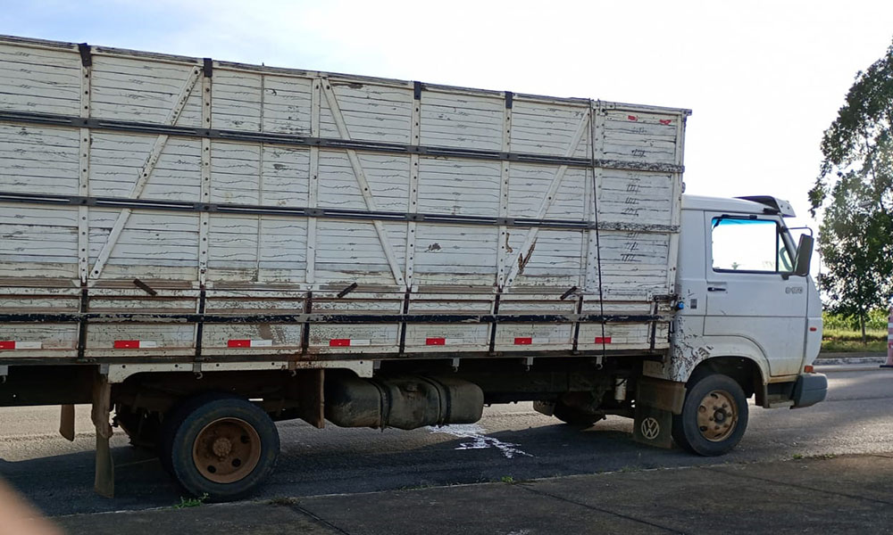 CIPRv apreende caminhão com transporte irregular de bovinos em Vitória da Conquista